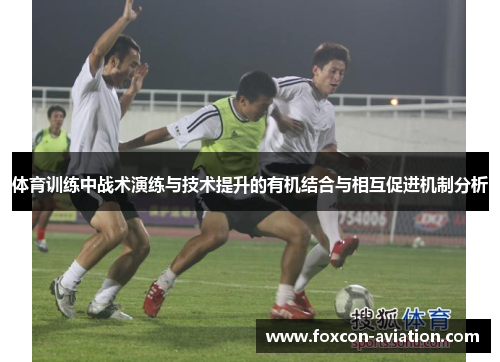 体育训练中战术演练与技术提升的有机结合与相互促进机制分析