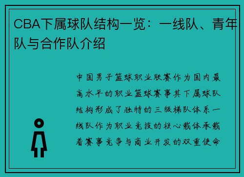 CBA下属球队结构一览：一线队、青年队与合作队介绍